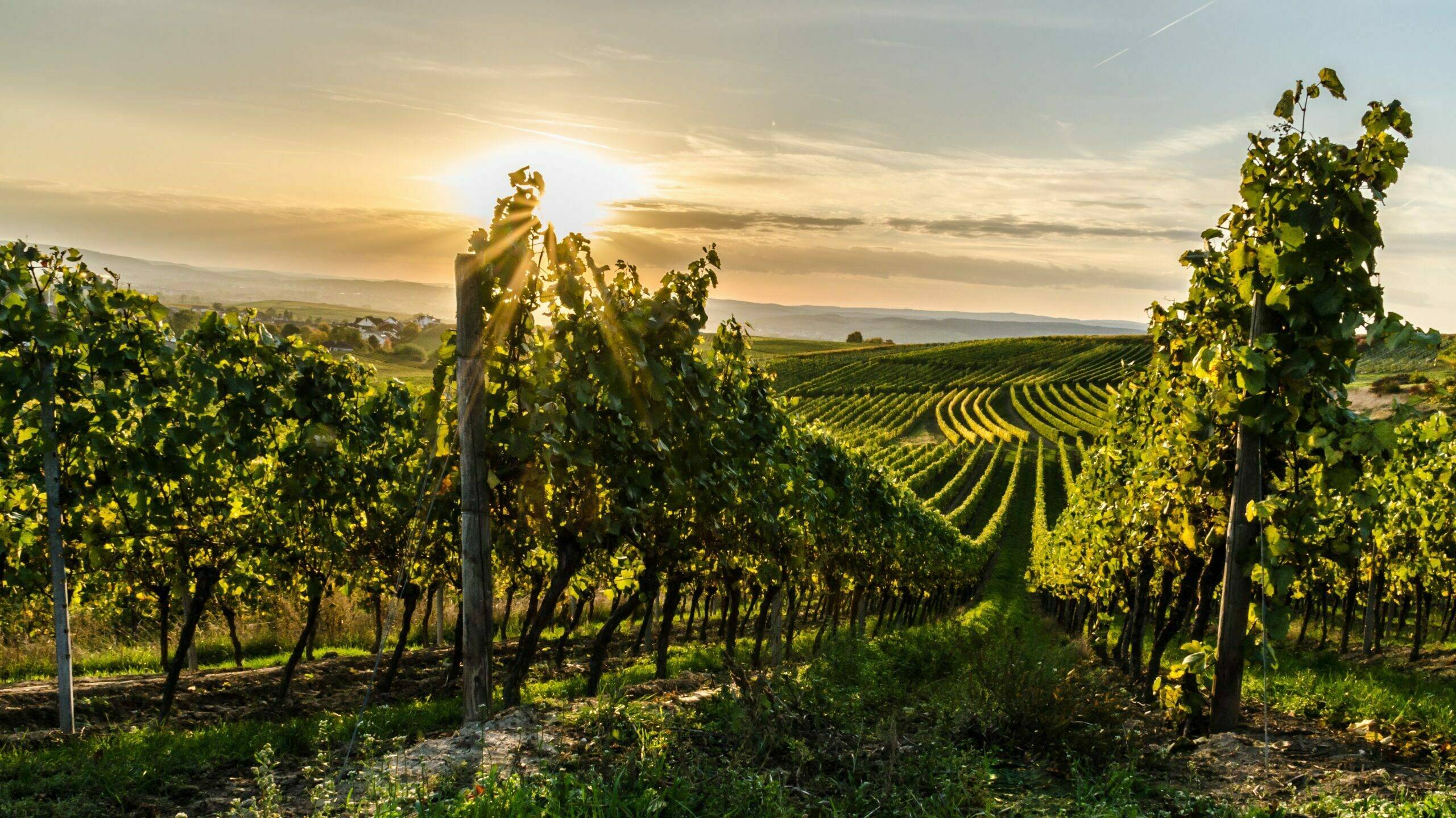 agriges-fertilizantes-agricultura-moderna|agriges-fertilizantes-novedades|agriges-fertilizantes-especiales-agricultura|agriges-soycal-corrector|phosfy-agriges-fertilizantes|agriges-logo (3)|agriges-fertilizantes-agricultura-moderna|249960_1|agriges-fertil